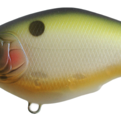 Nishine - Chippawa Round Bill - Slow Float -FISHING ELECTRONICS Sales 01BpbShad 1024x1024 9ff4d87a 6811 41e7 a4c1 01f665d5f342