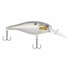 Berkley - Bad Shad -FISHING ELECTRONICS Sales 030 Berkley Bad Shad Sexier Shad d36ab129 aa5a 48ad 99e9 f67ff54d0dec