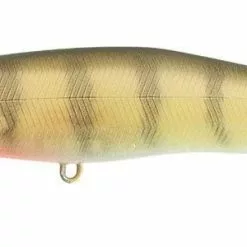 Nishine - Nishine Erie 95sd - Shallow Diving 6 Nishine - Nishine Erie 95sd - Shallow Diving -FISHING ELECTRONICS Sales 08 YellowPerch 1024x1024 9dae36b4 a719 481a b26d a6838b6631f9