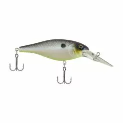 Berkley - Bad Shad -FISHING ELECTRONICS Sales 1107141 f4486f4a bf89 4231 8422 fe772a48744a