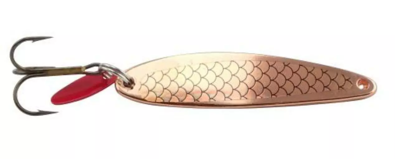 SWEDISH PIMPLE - GOLD SCALE 1 SWEDISH PIMPLE - GOLD SCALE