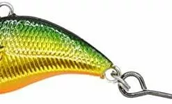 Eurotackle - Z-viper- Jig It,reel It 1/16 22 Eurotackle - Z-viper- Jig It,reel It 1/16 -FISHING ELECTRONICS Sales 51RMvtSb XL. AC SX425 d1f492c3 7220 4aa4 8352 2654a74a881e