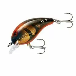 Bandit Lures BANDIT - 300 SERIES 19 Bandit Lures BANDIT - 300 SERIES -FISHING ELECTRONICS Sales 611qTZHgOmL. SX425 4dddb666 d53f 492e a311 9bc8ace6a0bd