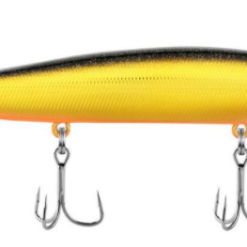 Berkley Stunna -FISHING ELECTRONICS Sales BG cc2e8417 cb1e 49e6 b9c9 1b11b756d57a