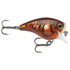 Rapala BX Brat Square Bill Crankbait 5 Rapala BX Brat Square Bill Crankbait - Image 5
