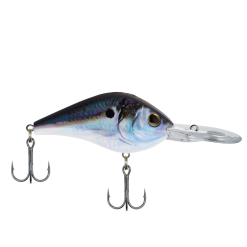 Berkley Dredger -FISHING ELECTRONICS Sales Berkley Dredger 17 2 927696ac b429 4d19 8c49 9bb4cdc0642d