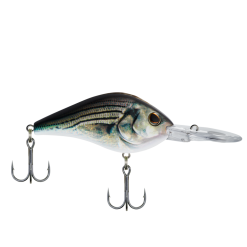 Berkley Dredger -FISHING ELECTRONICS Sales Berkley Dredger 17 6 f350b586 7b8c 4369 8f11 31617193b5d3