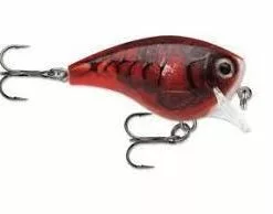 Rapala BX Brat Square Bill Crankbait 13 Rapala BX Brat Square Bill Crankbait -FISHING ELECTRONICS Sales DELTA 0168e082 b8ad 45ad b8c0 d2983e98aa53