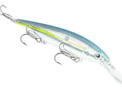 Strike King - Kvd Deep Jerkbait 12 Strike King - Kvd Deep Jerkbait -FISHING ELECTRONICS Sales DJ CHROME BL 8db74404 fe18 4090 abea e02f1f34d58f
