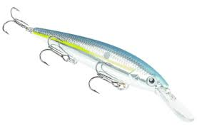 Strike King - Kvd Deep Jerkbait 4 Strike King - Kvd Deep Jerkbait - Image 4