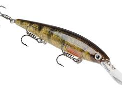 Strike King - Kvd Deep Jerkbait 14 Strike King - Kvd Deep Jerkbait -FISHING ELECTRONICS Sales DJ YEL PERCH 1de2c7be 740e 49a2 9f6d d99e7a500407