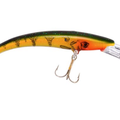 REEF RUNNER - DEEP DIVER HARD BAITS