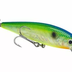 Strike King - Kvd Jerkbait 18 Strike King - Kvd Jerkbait -FISHING ELECTRONICS Sales HCKVDJ200 298 03e5d015 77c0 43e9 93b5 492ddf43320e