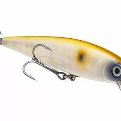 Strike King - Kvd Jerkbait 19 Strike King - Kvd Jerkbait -FISHING ELECTRONICS Sales HCKVDJ200 299 513418b8 cbf7 4364 98d8 0075facc50fc