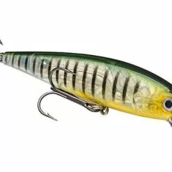 Strike King - Kvd Jerkbait 20 Strike King - Kvd Jerkbait -FISHING ELECTRONICS Sales HCKVDJ200 464 390ec4ba d479 4ca1 adff 5db594411b70