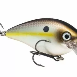 Strike King - Kvd Square Bill Crankbait -FISHING ELECTRONICS Sales HCKVDS4.0 652 mag 17d4d67b 29c6 45c8 8635 b2c9712e2c2a