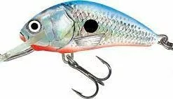 SALMO FLOATING HORNET -FISHING ELECTRONICS Sales HSBS 7373732e 7988 4a2d 923b 6531cff5ae52