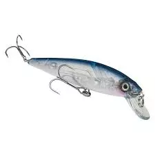Strike King - Kvd Jerkbait 10 Strike King - Kvd Jerkbait - Image 10