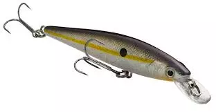 Strike King - Kvd Jerkbait 12 Strike King - Kvd Jerkbait - Image 12