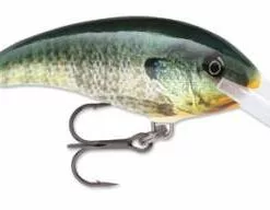 Rapala Shad Rap Deep Runner -FISHING ELECTRONICS Sales LIVE BLUEGILL