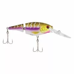 BERKLEY - FLICKER SHAD JOINTED -FISHING ELECTRONICS Sales PURPLE TIGER 90c4e3dd 0199 40a2 a5bb e346b77aa452