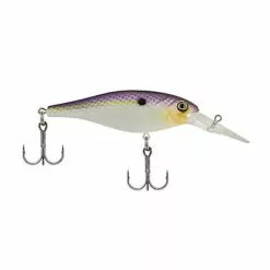 Berkley - Bad Shad -FISHING ELECTRONICS Sales Purple 94d89f13 fe67 4e0c 87a6 5d55bc5450b1