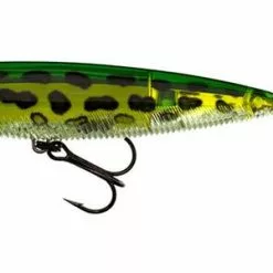 High Falls Outfitters YO-ZURI 3DB PENCIL POPPER -FISHING ELECTRONICS Sales R1100 PFOG dd36efd5 fb60 443f a7b0 f7b703e3b3f4