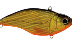 Spro - Aruku Shad 75 -FISHING ELECTRONICS Sales SAS75GoldBlack 450.3 8509f621 651d 4512 b191 54c63a356e38