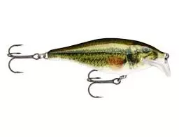 Rapala - Scatter Rap Series Shad 8 Rapala - Scatter Rap Series Shad - Image 8