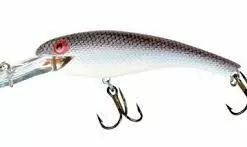 Cotton Cordell - Wally Divers -FISHING ELECTRONICS Sales WDSS 2f043938 4a18 4f12 8f9a e4fb12883ff0