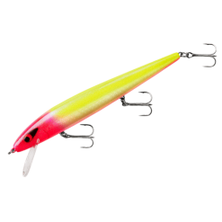 Smithwick - Perfect 10 Rogue -FISHING ELECTRONICS Sales adr5 288 1 e68a8897 a646 4c0f 81d6 e035d04511b4