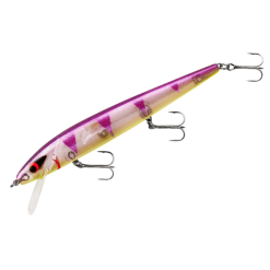 Smithwick - Perfect 10 Rogue -FISHING ELECTRONICS Sales adr5 289 1 b06de9b3 55e4 4c0f 8bcf 10ac900bfa9e