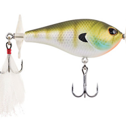 Berkley Spin Bomb -FISHING ELECTRONICS Sales berkley spin bomb 60 mf bluegill 2 2 5 523091d7 680f 4975 b799 42c9d6d96ccb