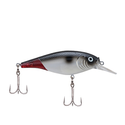 Berkley Flicker Shad Shallow 11 Berkley Flicker Shad Shallow -FISHING ELECTRONICS Sales download 10 10ed1521 c457 4acf ab34 a6f243b1c210