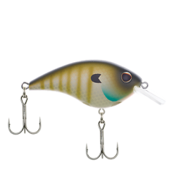 BERKLEY FRITTSIDE 5 BIGGUN -FISHING ELECTRONICS Sales download 11 6e30e771 e66e 477b 80d2 c643cad1680f