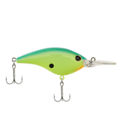 BERKLEY FRITTSIDE 5 BIGGUN -FISHING ELECTRONICS Sales download 12 2c7abe92 2bbb 421e 8a34 0099e3840a55