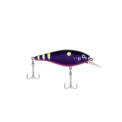 Berkley Flicker Shad Shallow 13 Berkley Flicker Shad Shallow -FISHING ELECTRONICS Sales download 12 c81a68d3 a34c 4784 b9f3 a7189d7348e1