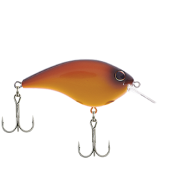 BERKLEY FRITTSIDE 5 BIGGUN -FISHING ELECTRONICS Sales download 13 cd4e1cfa dabf 490a 86a0 d36f48a1bc48