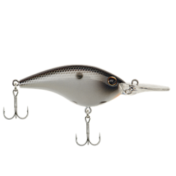 BERKLEY FRITTSIDE 5 BIGGUN -FISHING ELECTRONICS Sales download 15 03241faf 8aed 4a62 934a 056adecea4bf