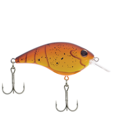 BERKLEY FRITTSIDE 5 BIGGUN -FISHING ELECTRONICS Sales download 16 1ae1b7bc 9ab4 47f8 a96b 3d5775f38e3b