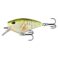 13 Fishing Warthog Squarebill -FISHING ELECTRONICS Sales image 2022 05 12 204710260