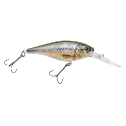 BERKLEY FLICKER SHAD (Part 1) -FISHING ELECTRONICS Sales image 2022 06 12 005840865