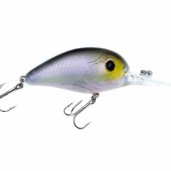 Freedom Rad Crankbait -FISHING ELECTRONICS Sales image 2023 04 01 203020533