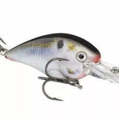 Strike King - Kvd Square Bill Crankbait -FISHING ELECTRONICS Sales strike king kvd 1 5 deep crankbait hckvds1 5d 699 2dabe786 c638 4e81 8e0e 3e7a7c00f1c8